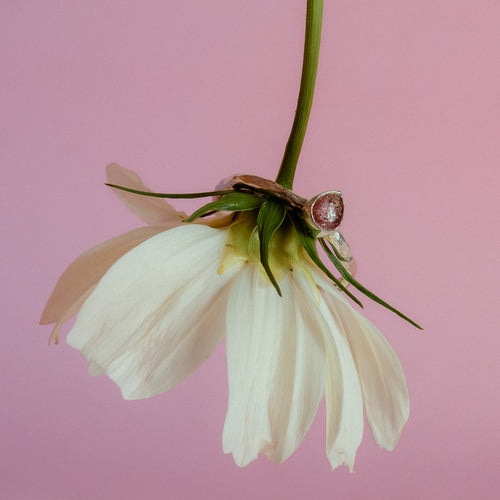 An argentium recycled silver ring with a hammered band and a teardrop shaped pink tourmaline gemstone is delicately placed on the stem of a lemon yellow cosmos flower, with another blurred flower in the background, set against a solid pink backdrop.